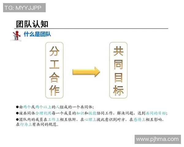 上海排球队的团队协作之道：凝聚力与默契的完美结合