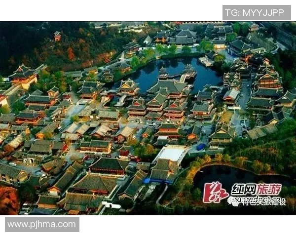 广州飞盘队运营模式解析与发展潜力探讨 广州飞盘队运营模式解析与发展潜力探讨