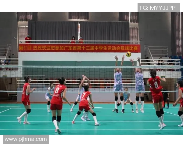 广州排球队在全国排球配合排行榜中荣登第九名展现强劲实力 广州排球队在全国排球配合排行榜中荣登第九名展现强劲实力