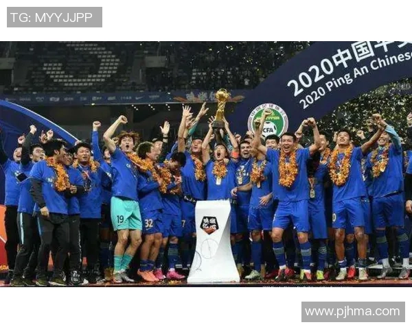 成都排球队征战洲际杯的拼搏故事与荣耀之路