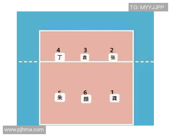 杭州排球队最新速度排名第一排球速度TOP10揭晓