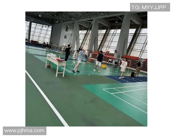 武汉羽毛球队意识排名创新高引发全国关注展现羽毛球运动新风貌