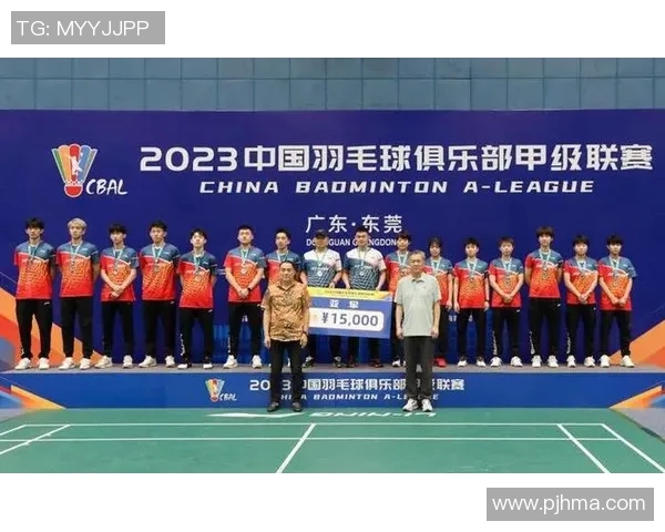 羽毛球的转型之路:探寻北京羽毛球队的深度变革与发展策略 羽毛球的转型之路:探寻北京羽毛球队的深度变革与发展策略