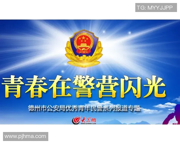 重磅专题:探索V5反击革新背后的技术与策略变革 重磅专题:探索V5反击革新背后的技术与策略变革