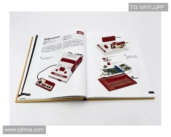 南京羽毛球队进攻革新之路:技术提升与战术创新的深度解析 南京羽毛球队进攻革新之路:技术提升与战术创新的深度解析