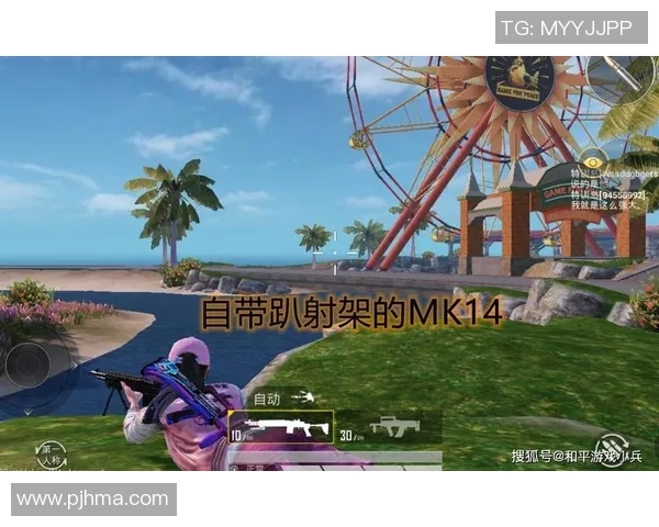 和平精英战术解析:深入探讨WE战队的边路渗透策略与执行 和平精英战术解析:深入探讨WE战队的边路渗透策略与执行