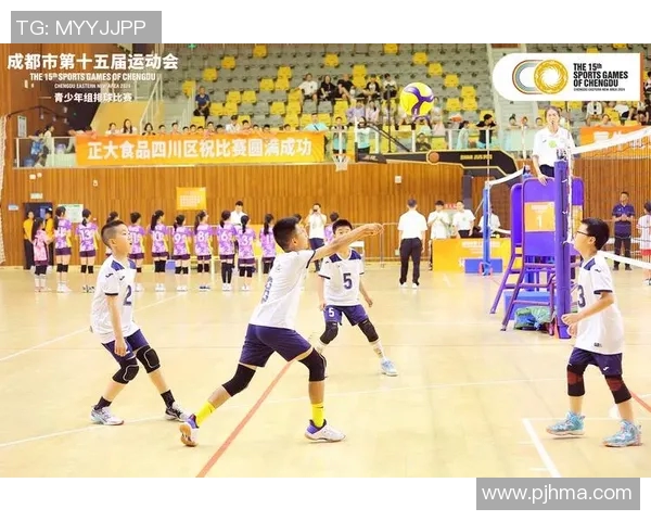 排球盛宴:深入解析成都排球队的战术布局与团队协作 排球盛宴:深入解析成都排球队的战术布局与团队协作