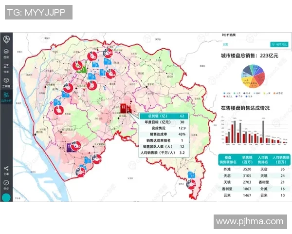 深入分析上海排球队的运营策略与市场推广模式探讨