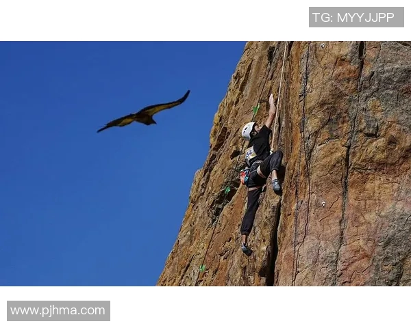 西安攀岩队的战术分析与热点攀岩场地的深度解读