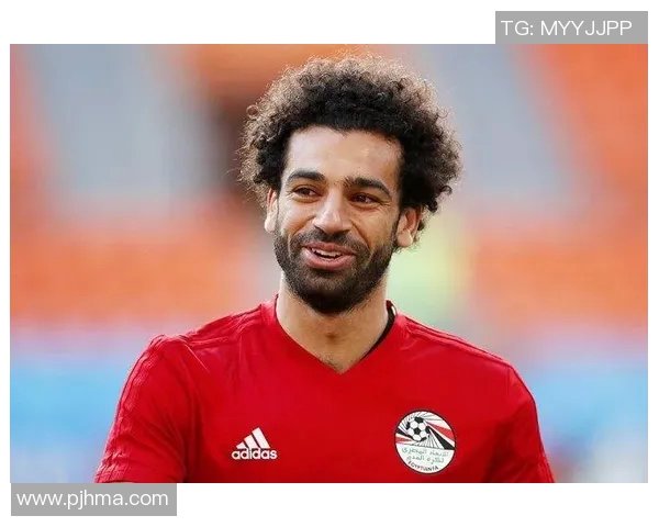 沙特与埃及最新澳盘分析及比赛前瞻精彩解读