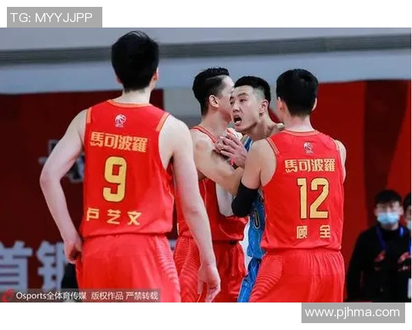 辽宁与北京季后赛精彩对决视频回放全程回顾与分析