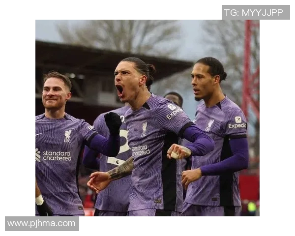 努涅斯在赛场上的崛起与挑战：从新星到足球巨星的成长之路