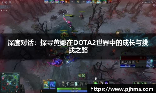 深度对话：探寻黄娜在DOTA2世界中的成长与挑战之路