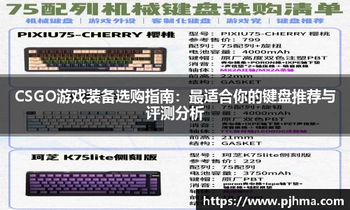 CSGO游戏装备选购指南：最适合你的键盘推荐与评测分析