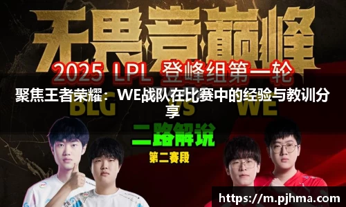 聚焦王者荣耀：WE战队在比赛中的经验与教训分享