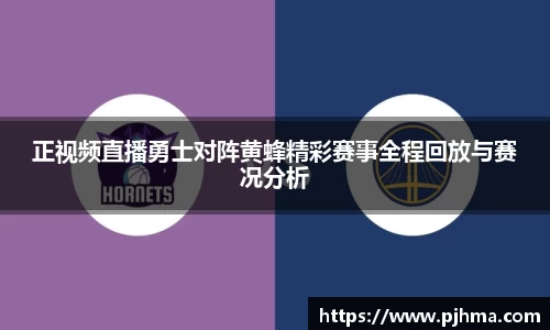 正视频直播勇士对阵黄蜂精彩赛事全程回放与赛况分析