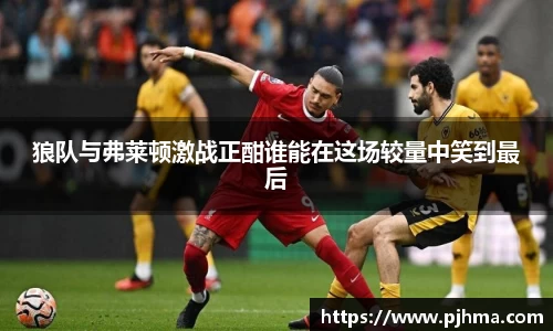 狼队与弗莱顿激战正酣谁能在这场较量中笑到最后