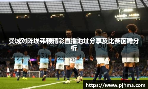 曼城对阵埃弗顿精彩直播地址分享及比赛前瞻分析
