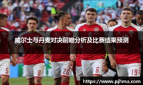威尔士与丹麦对决前瞻分析及比赛结果预测