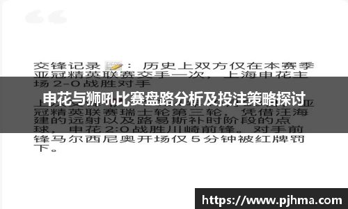 申花与狮吼比赛盘路分析及投注策略探讨